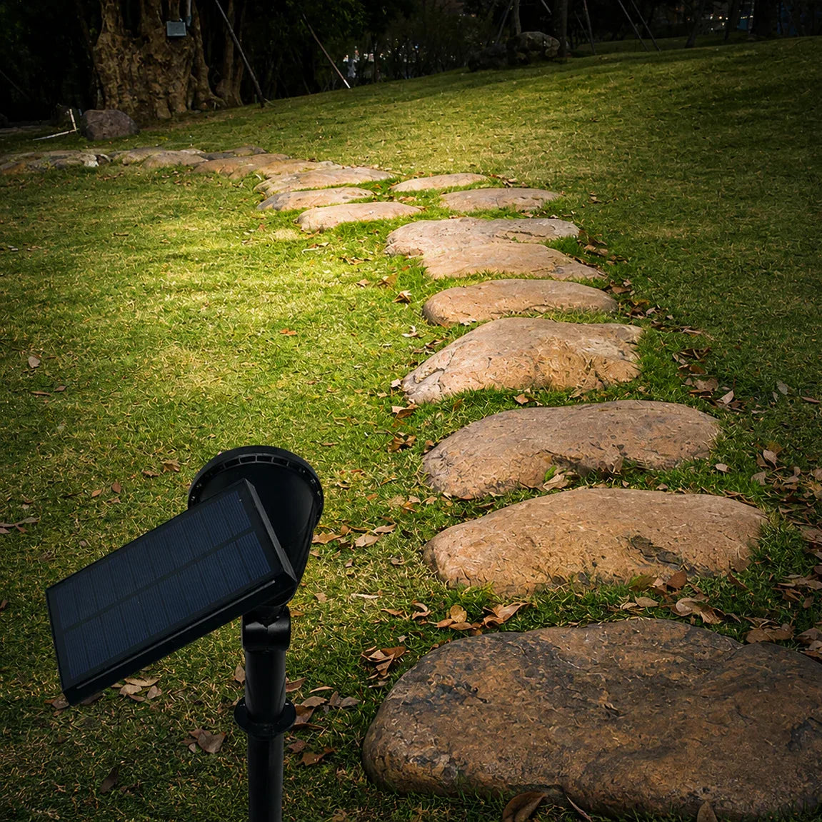Outdoor Solar Spotlight