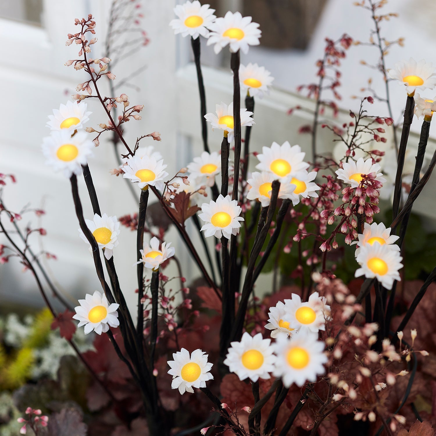 Daisy Solar Garden Lights – Lunaria